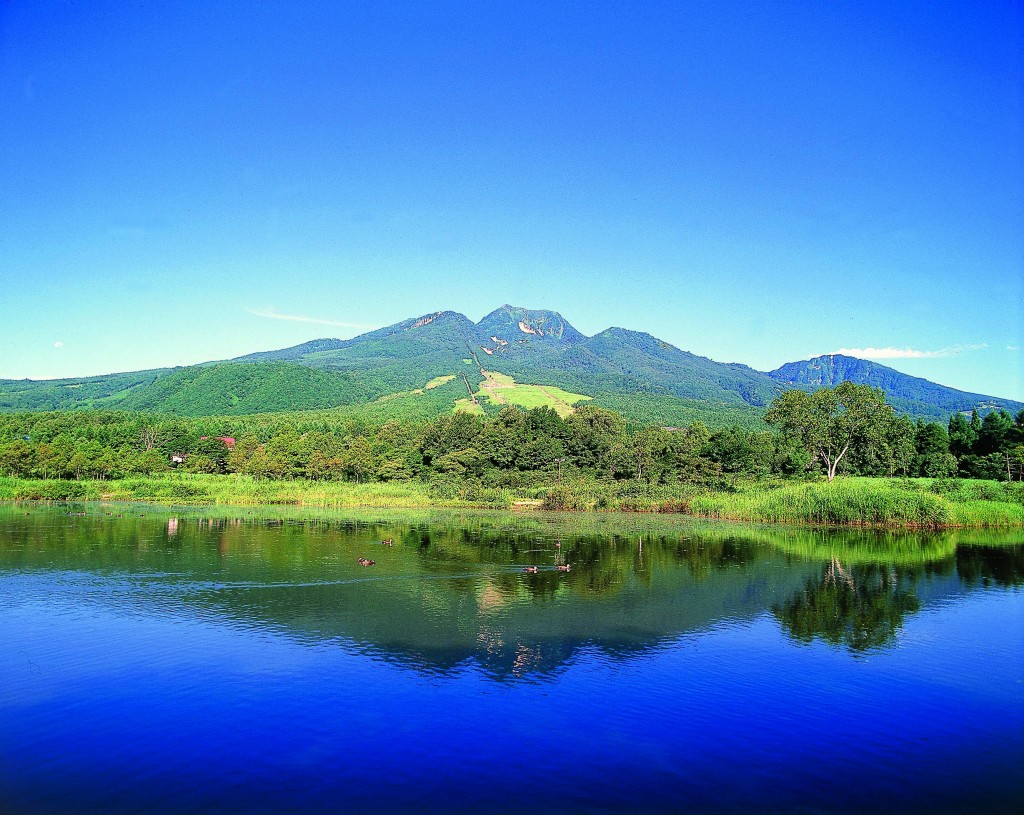 妙高市庁舎敷地内、全面禁煙へ